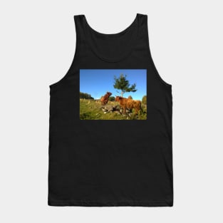 Scottish Highland Cattle Cows 1000 Tank Top